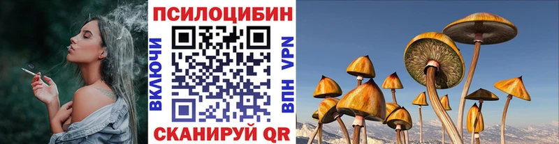Галлюциногенные грибы Cubensis  Старая Русса 
