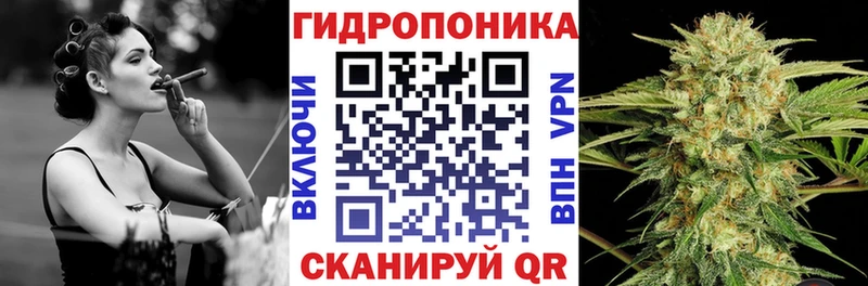 блэк спрут маркетплейс  Старая Русса  Канабис марихуана 